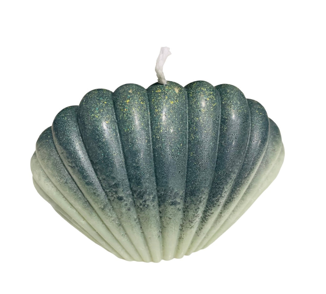 Ombré sea shell